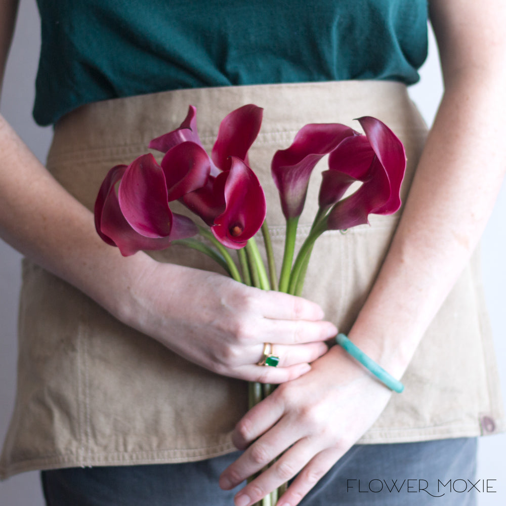 Cranberry Mini calla lily
