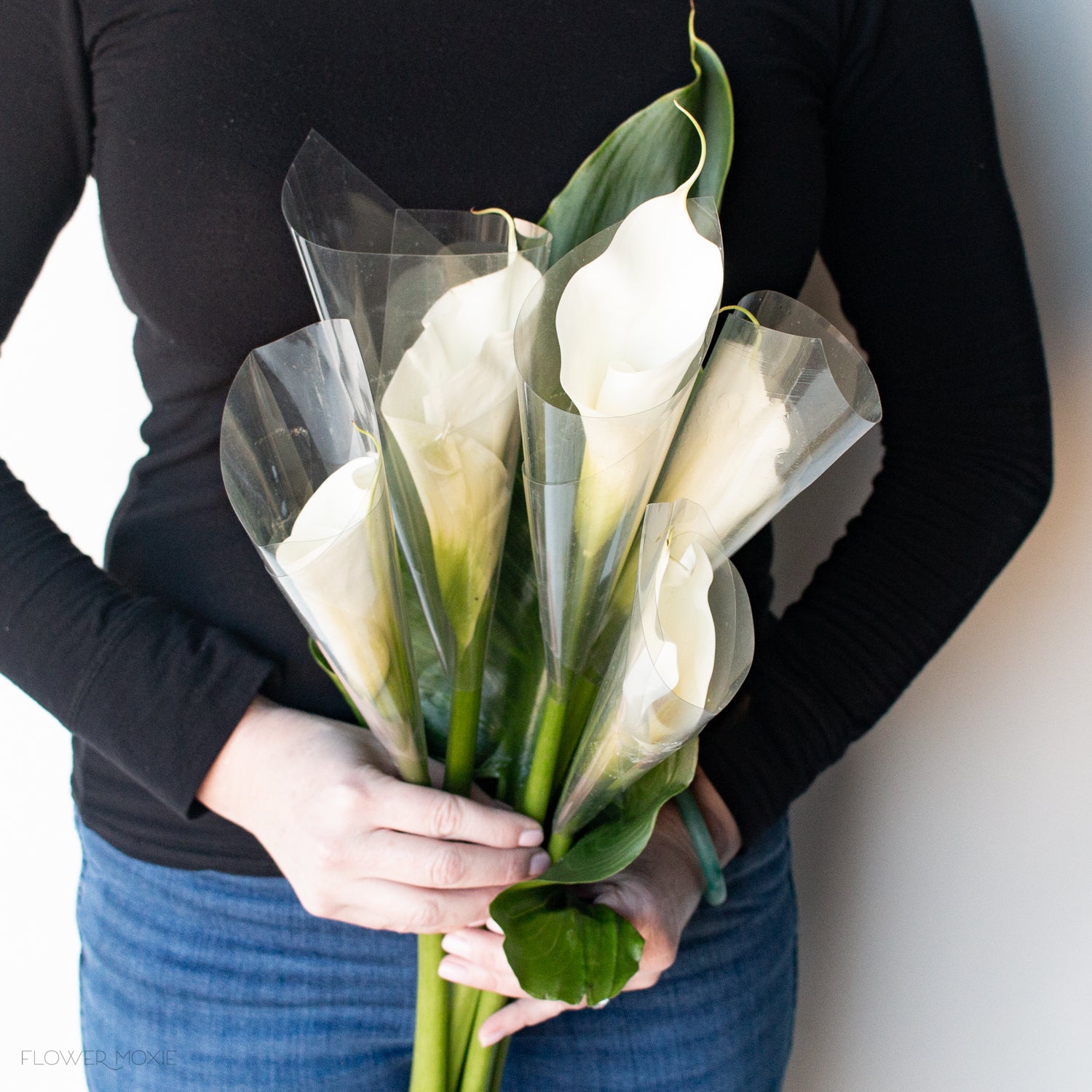 White Standard Calla Lily Flower