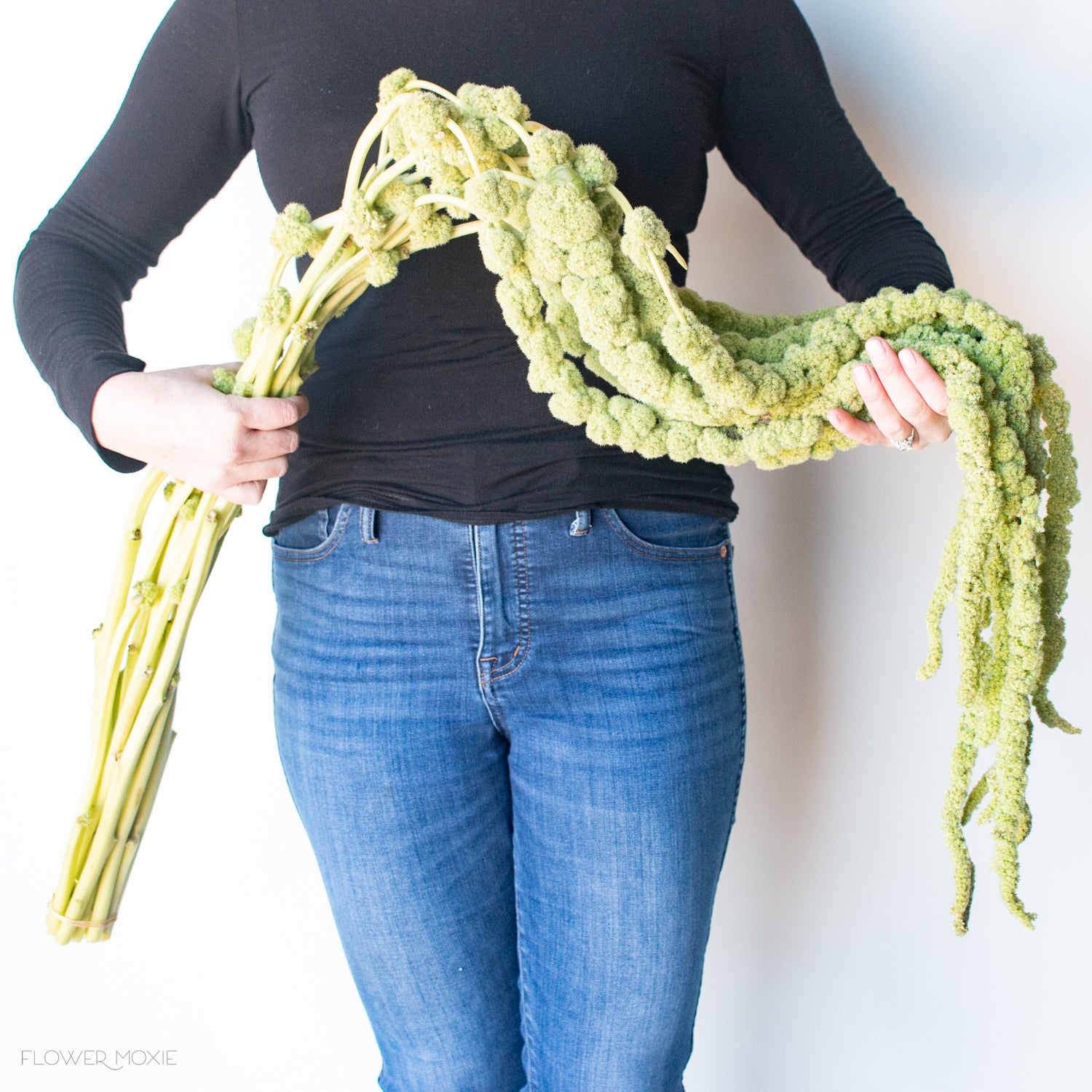 Green Hanging Amaranthus Flower