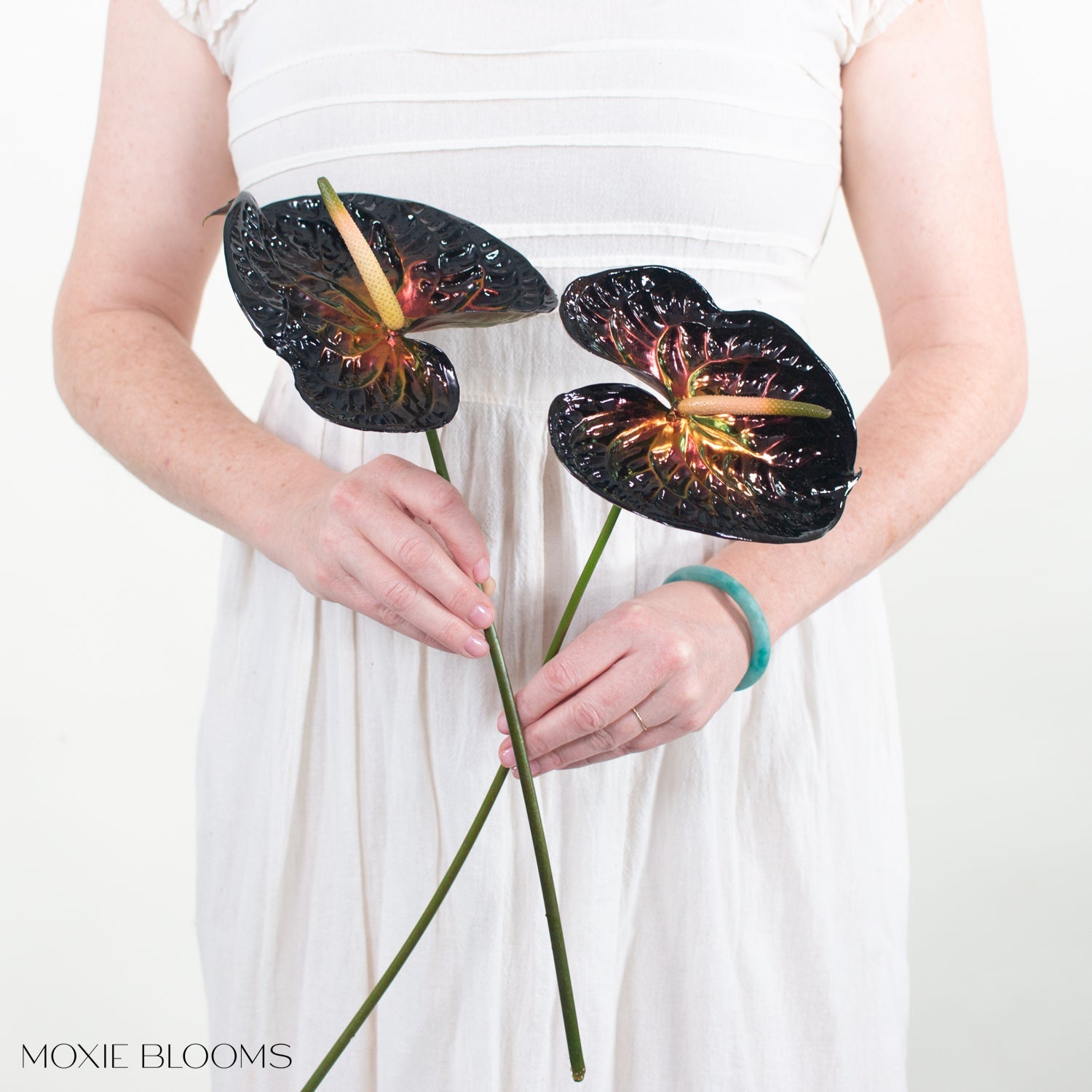 Haus of Stems Anthurium - Wicked