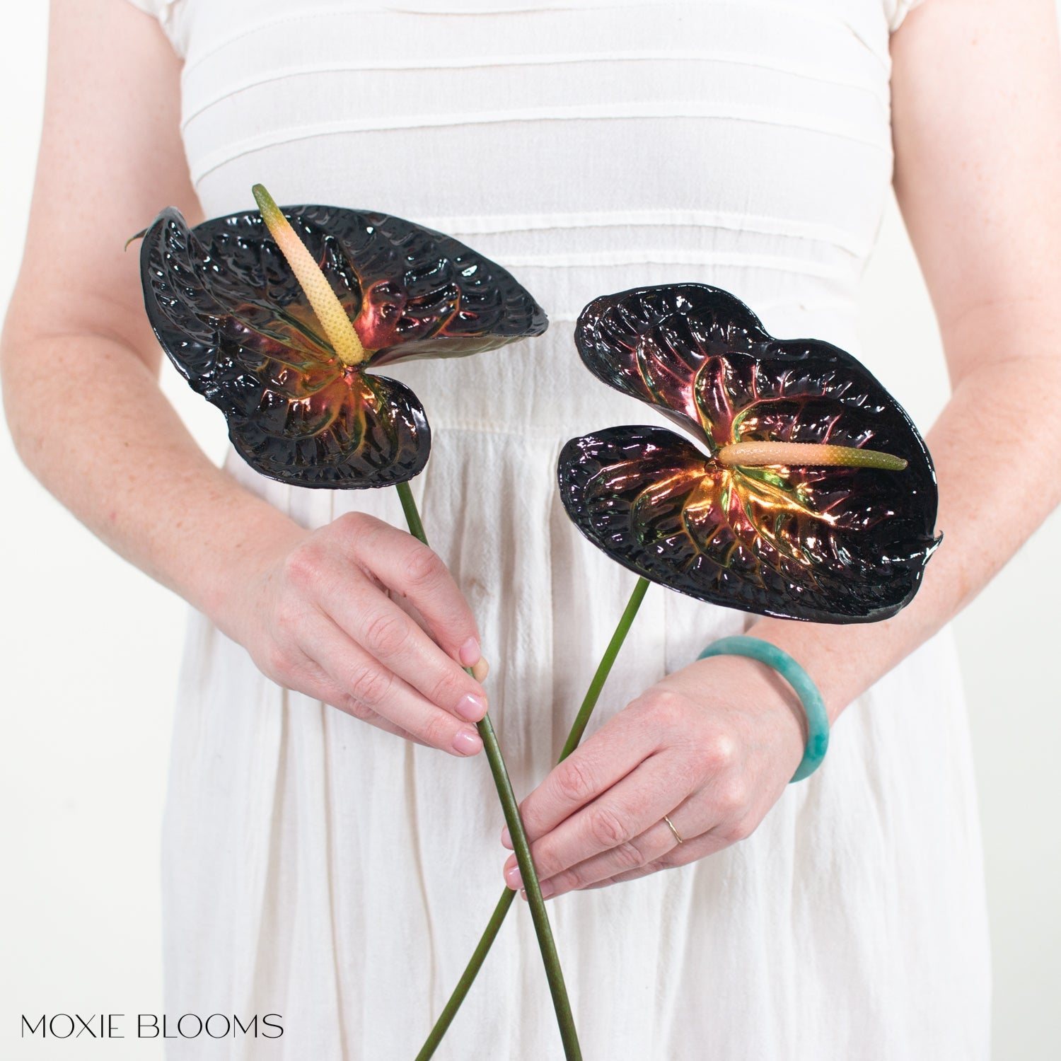 Haus of Stems Anthurium - Wicked
