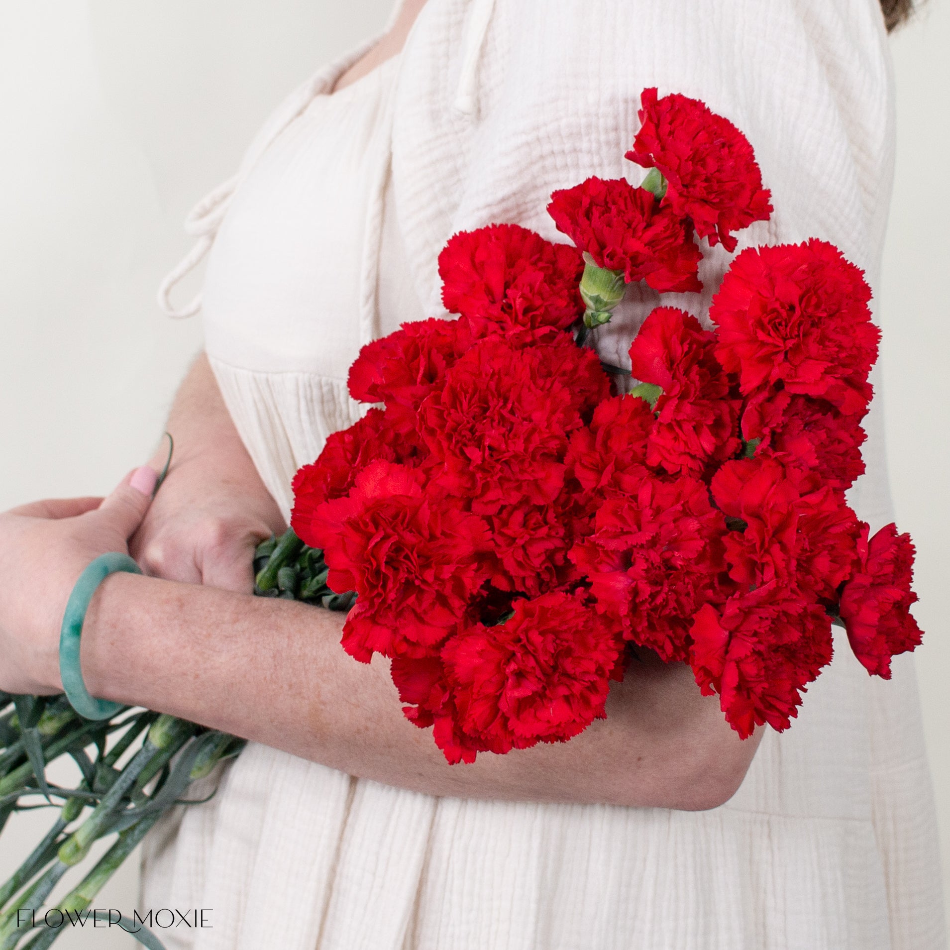 Red Carnation Flower