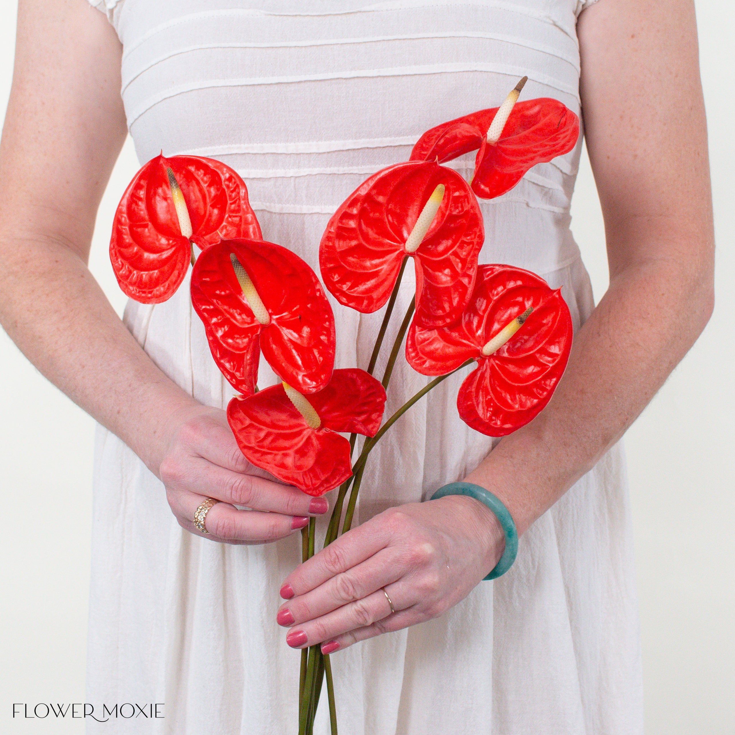 Casino Orange Anthurium