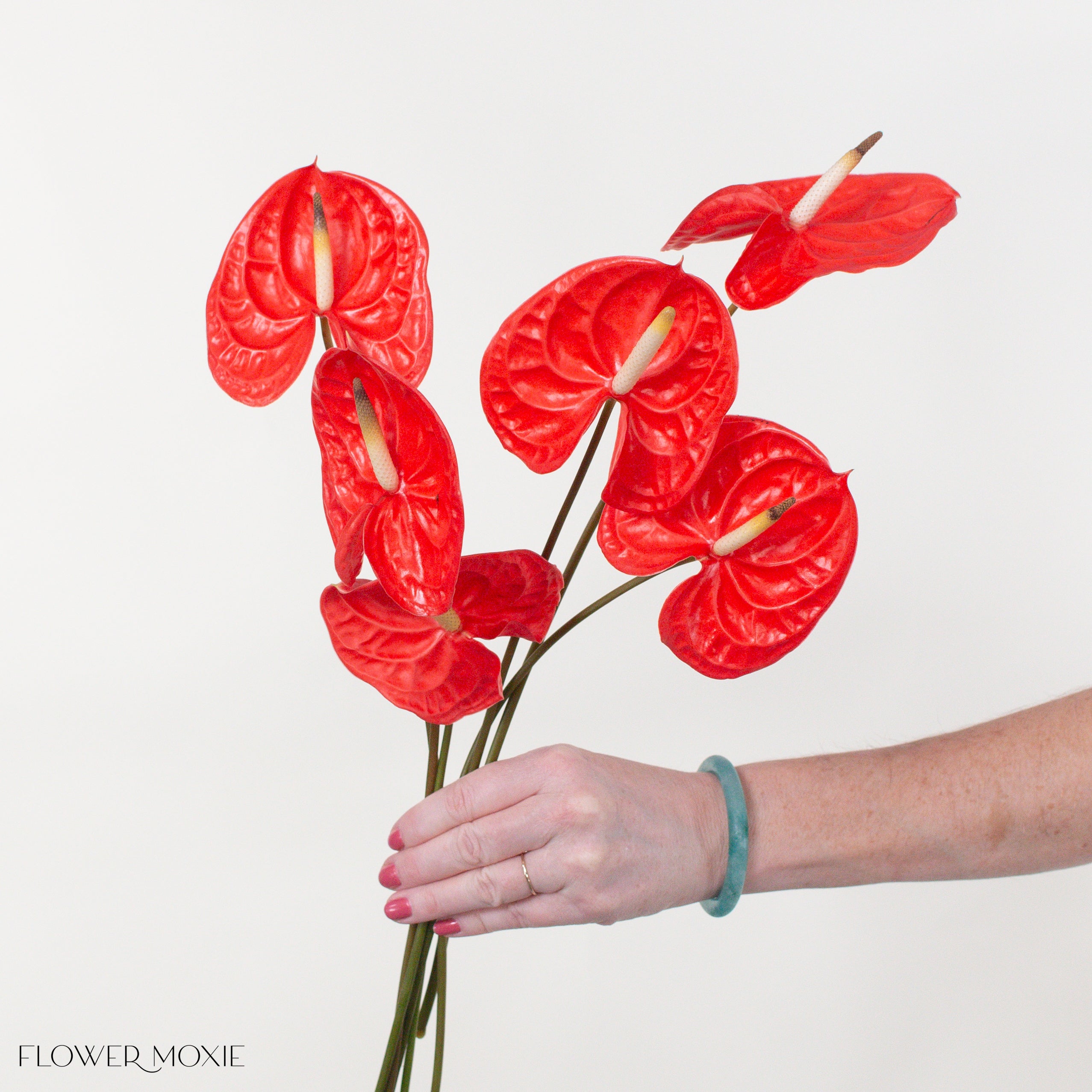 Casino Orange Anthurium
