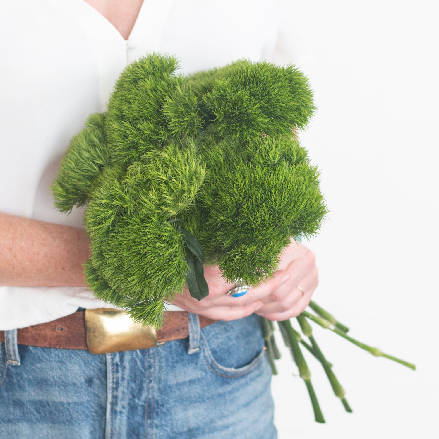 green trick dianthus flower