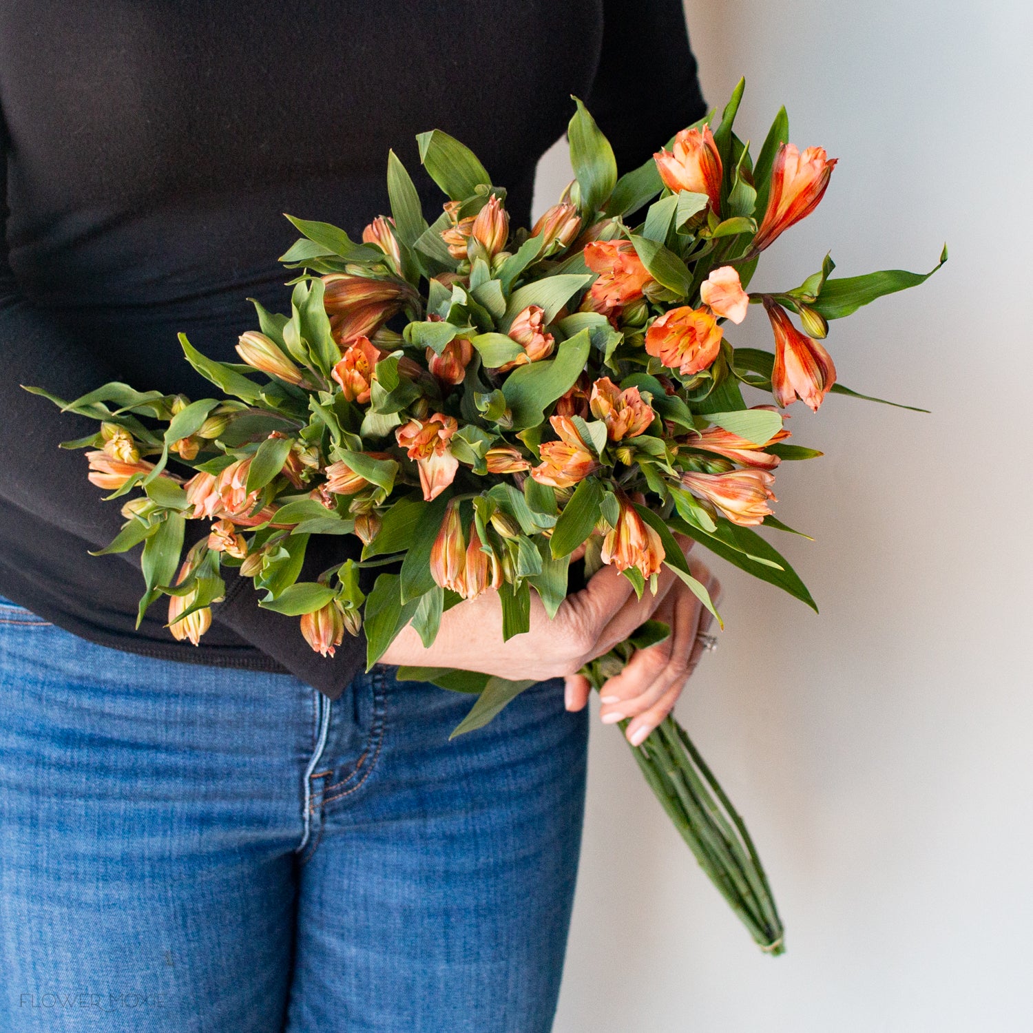 Orange Alstroemeria Flowers