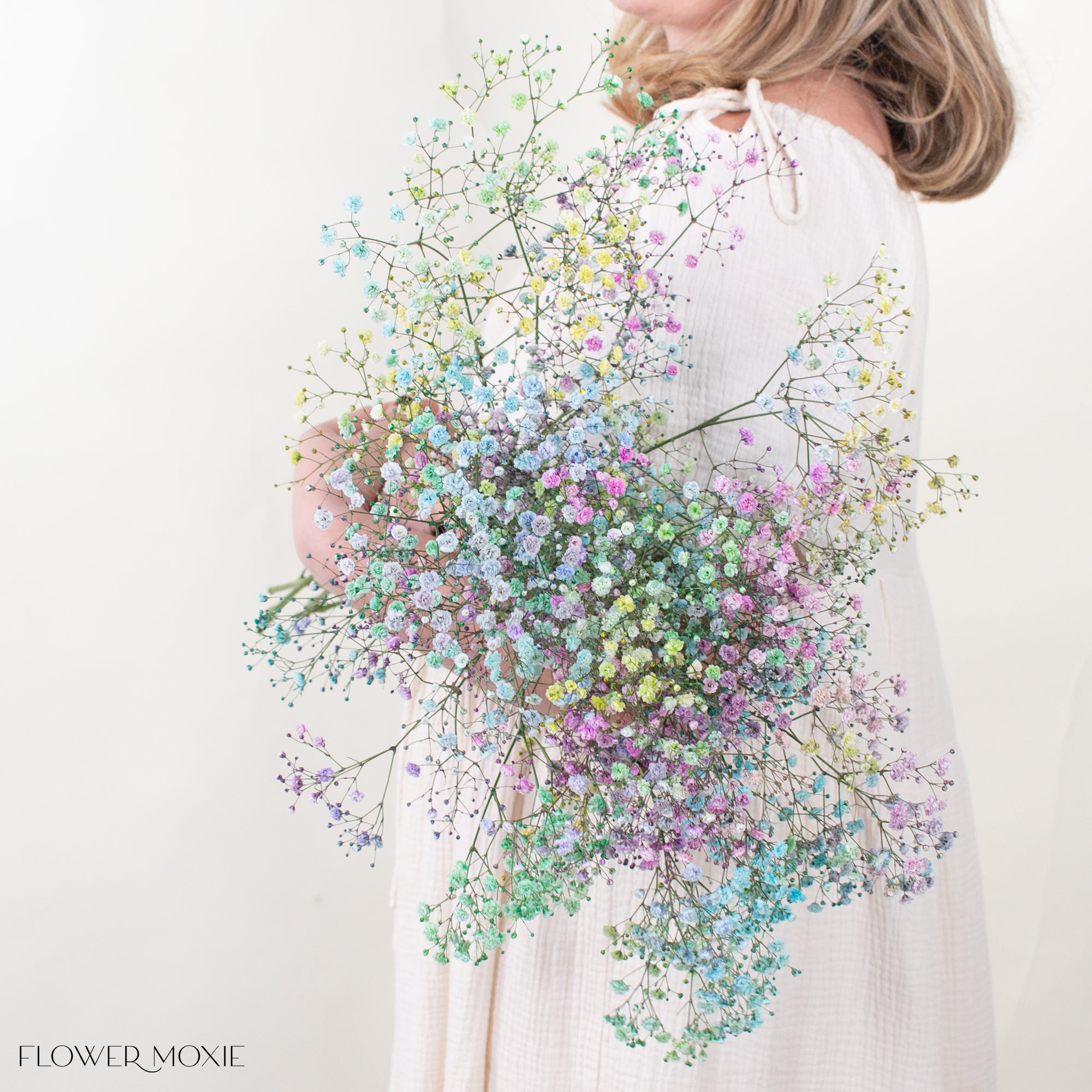 Rainbow Baby's Breath Flower