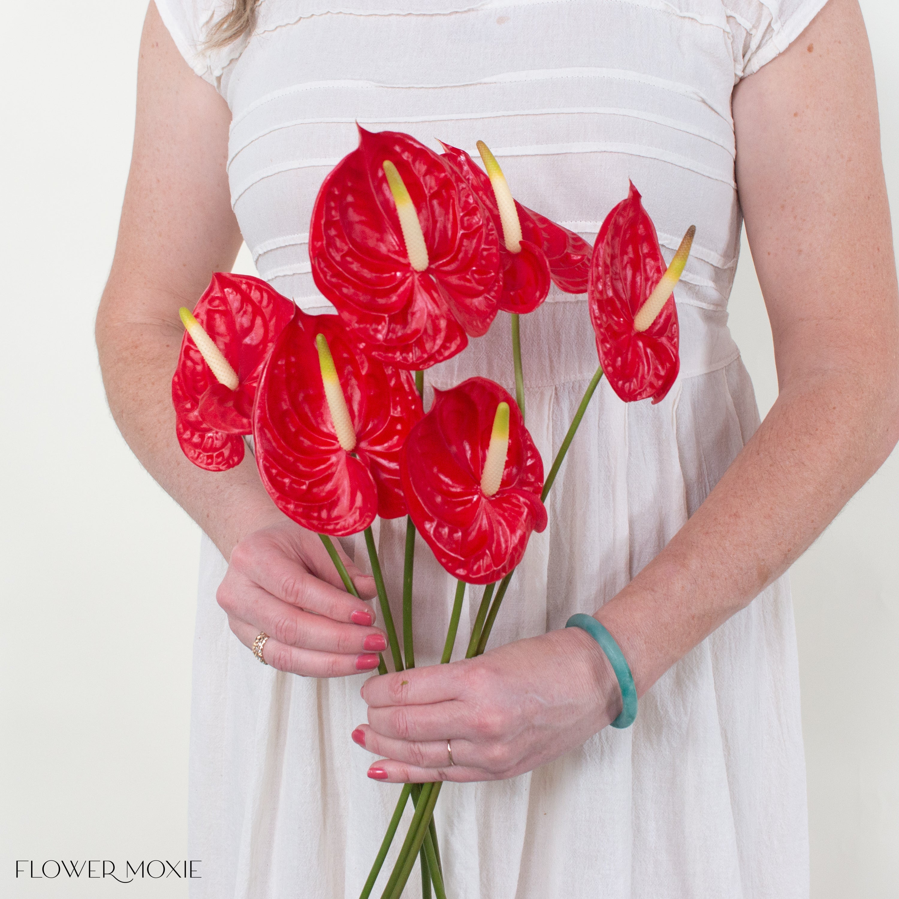 Tropicana Red Anthurium