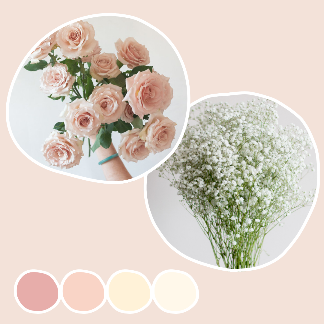 Quicksand Roses and Baby's Breath Mixed Box