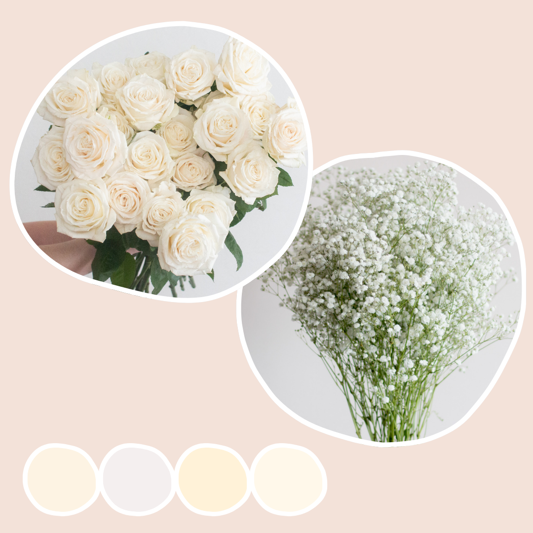 White Roses and Baby's Breath Mixed Box