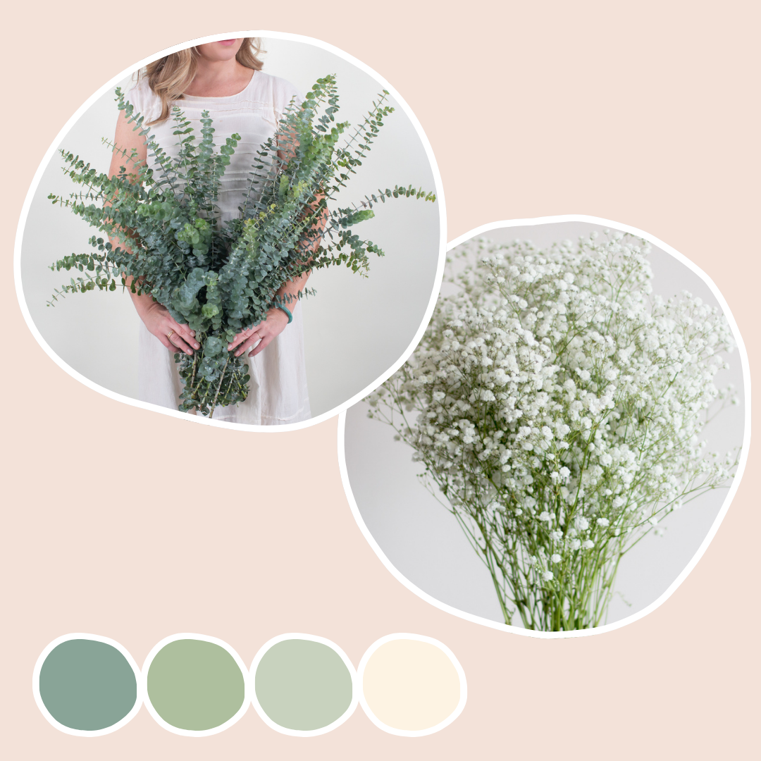 Baby Eucalyptus and Baby's Breath Mixed Box