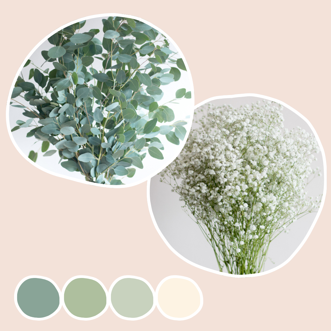 Silver Dollar Eucalyptus and Baby's Breath Mixed Box