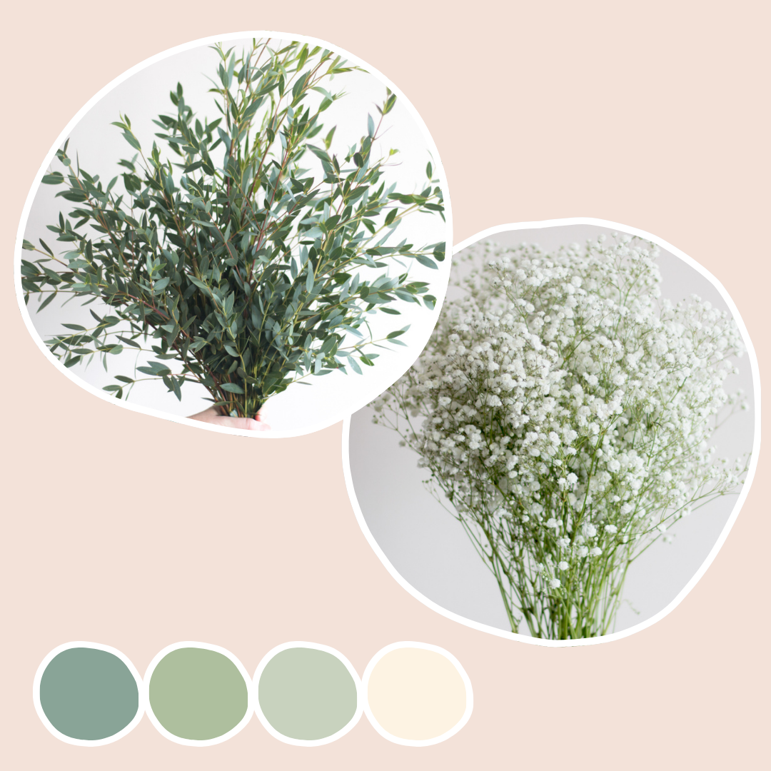 Parvifolia and Baby's Breath Mixed Box Mixed Box