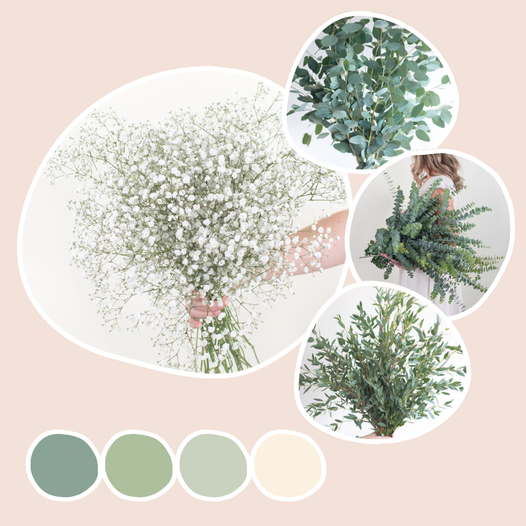 Eucalyptus and Baby's Breath Mixed Box
