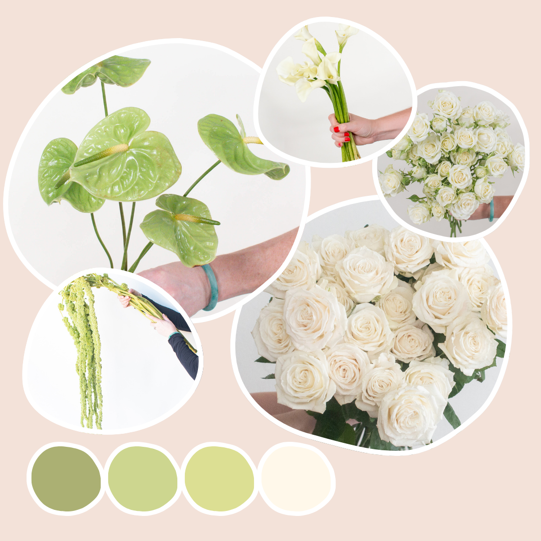 Modern Muse Sample Box