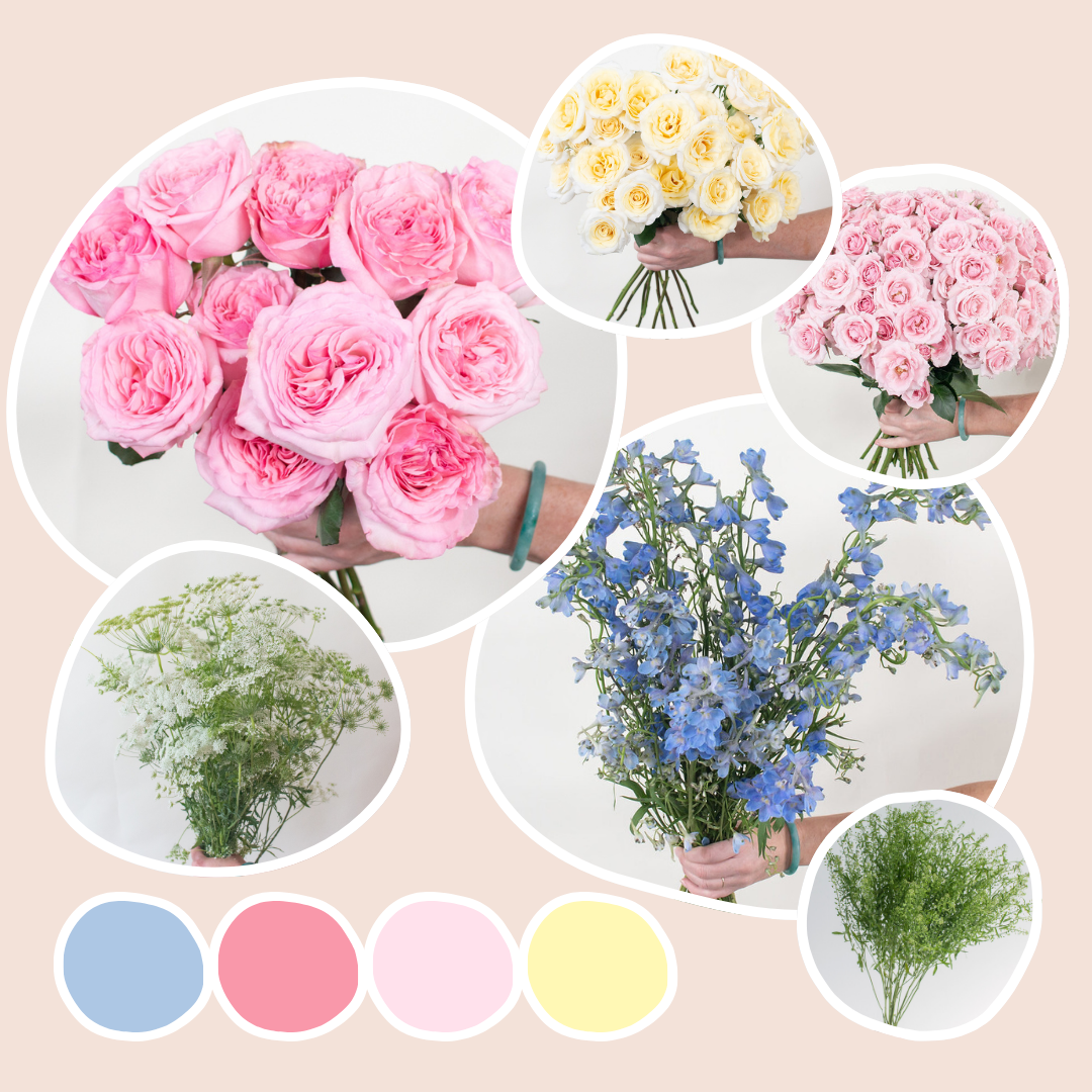 Soft Wildflower Sample Box