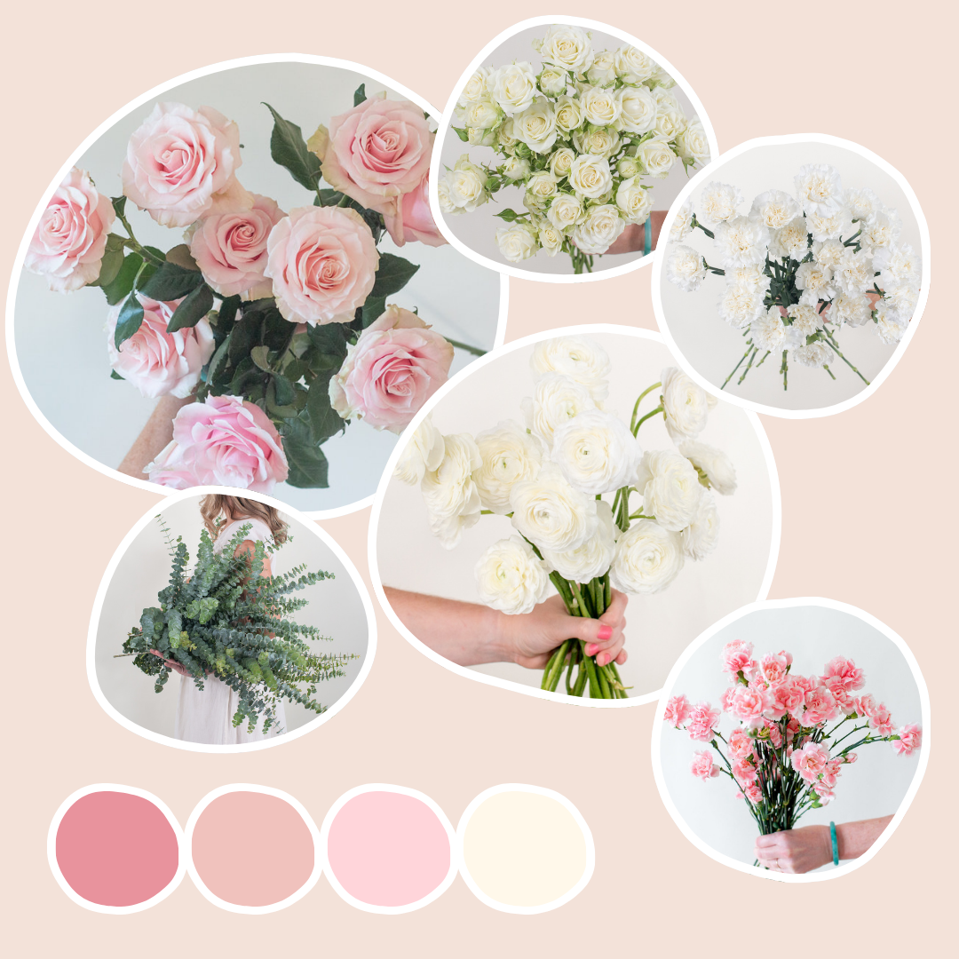Blush and Cream Sample Box