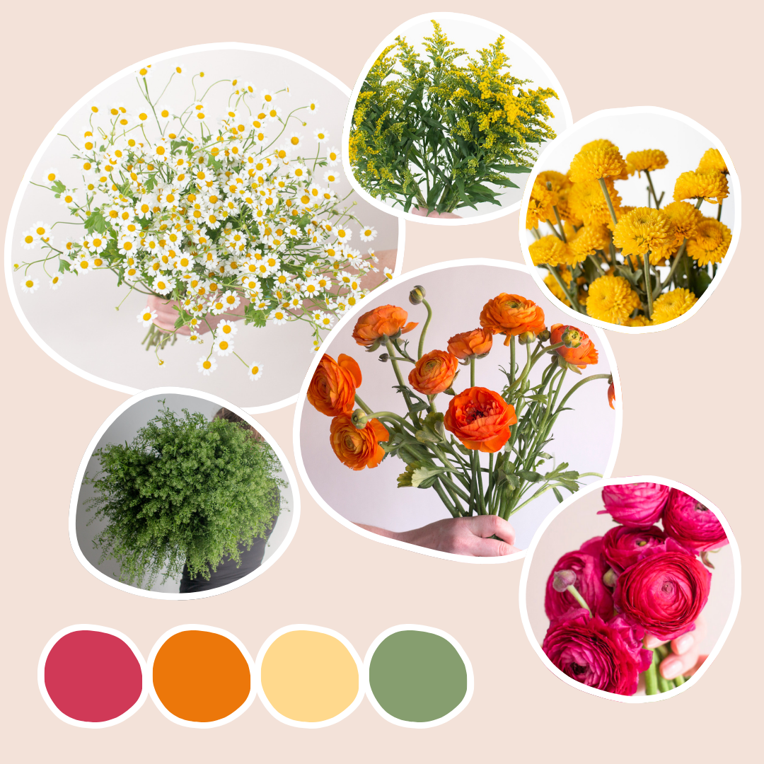 Bright and Cheerful Sample Box