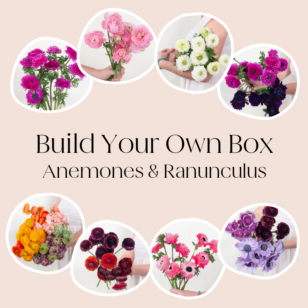 build your own box 