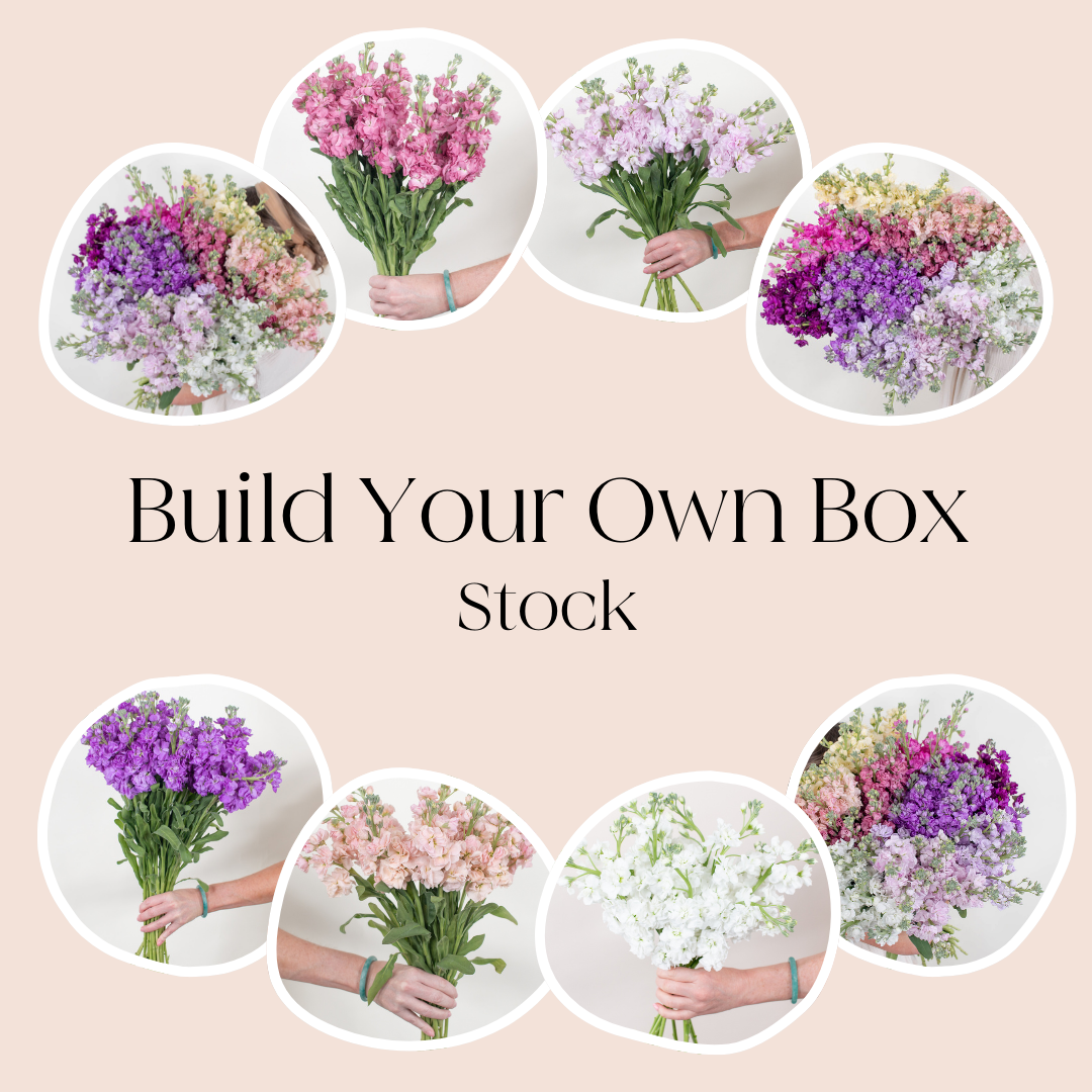 build your own stock mixed box