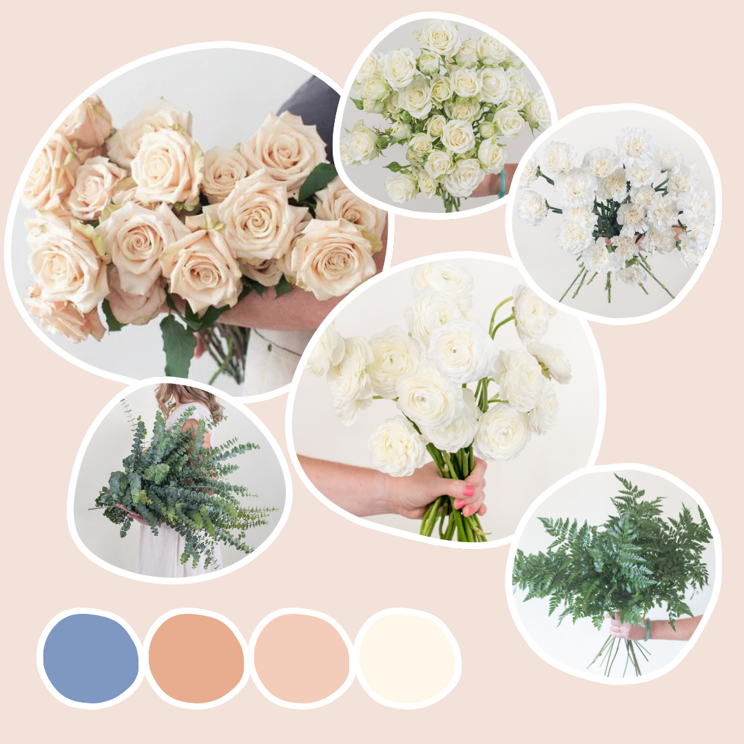 Canyon Rose Sample Box