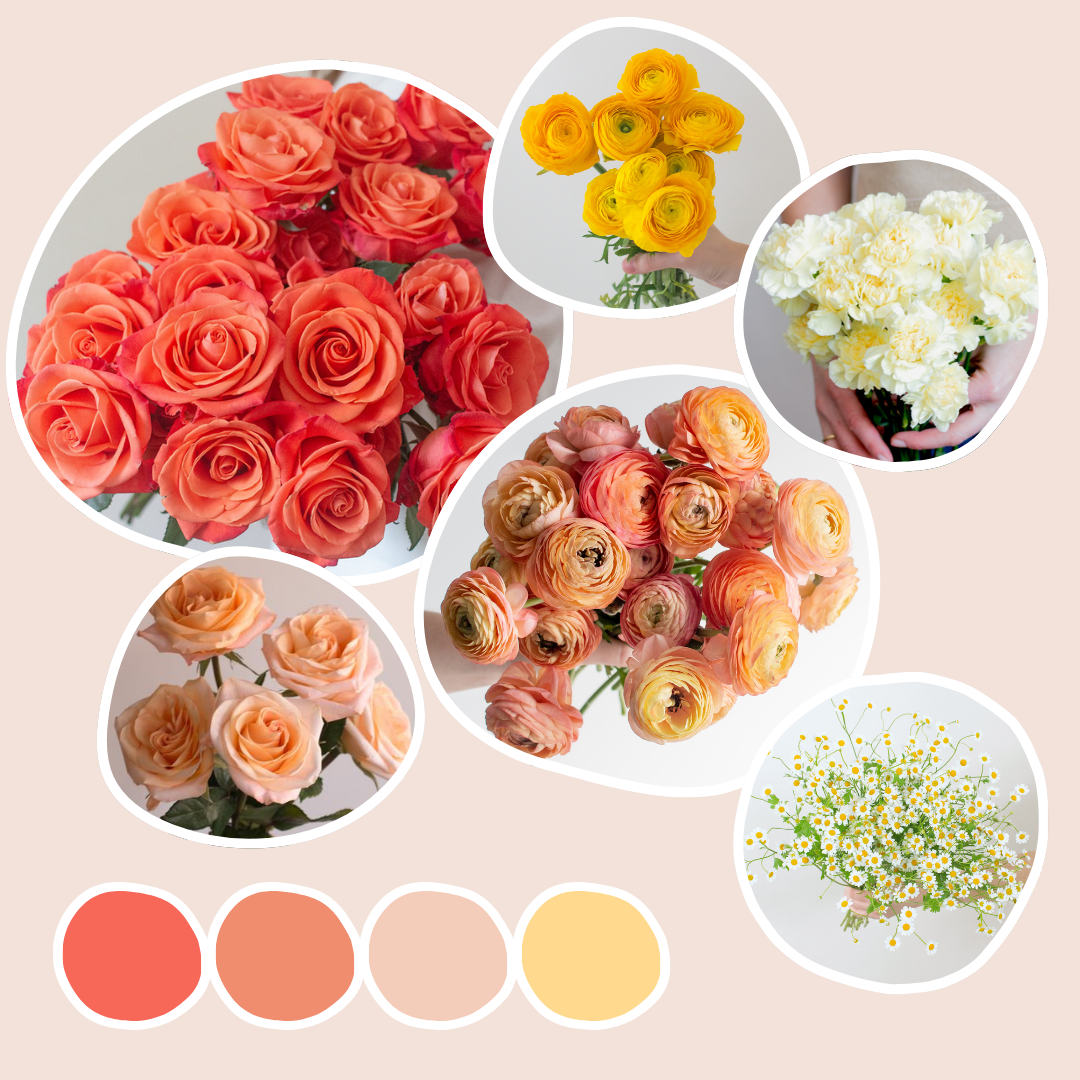 Citrus Crush Sample Box