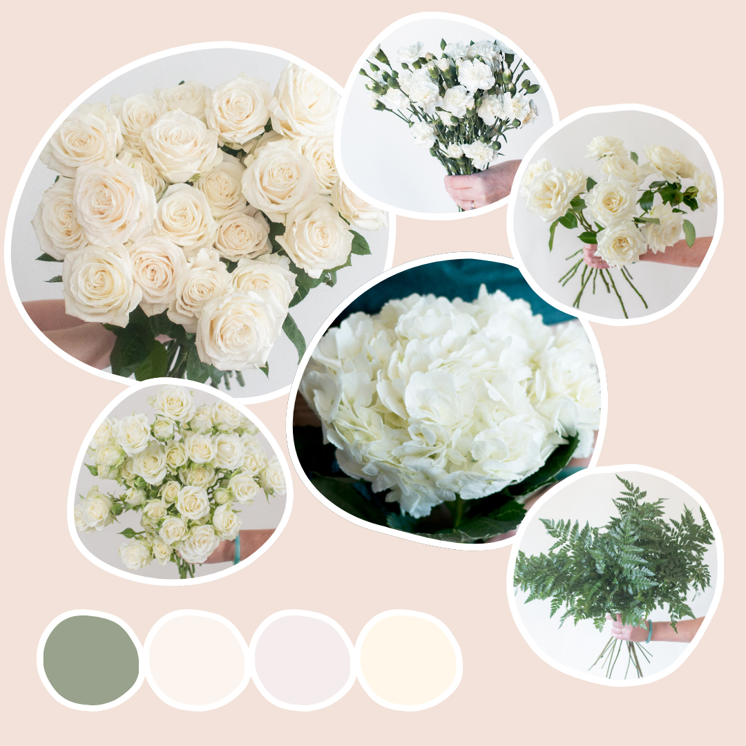 Classic Hydrangea Sample Box