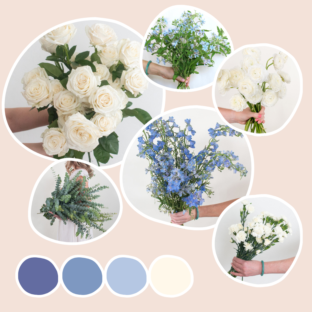 Dusty Blue and Cream Sample Box
