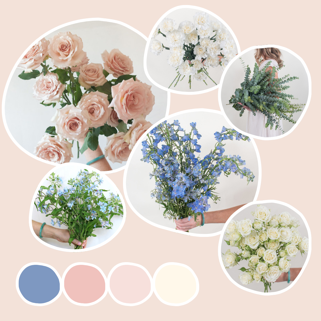 Dusty Blush and Blue Sample Box
