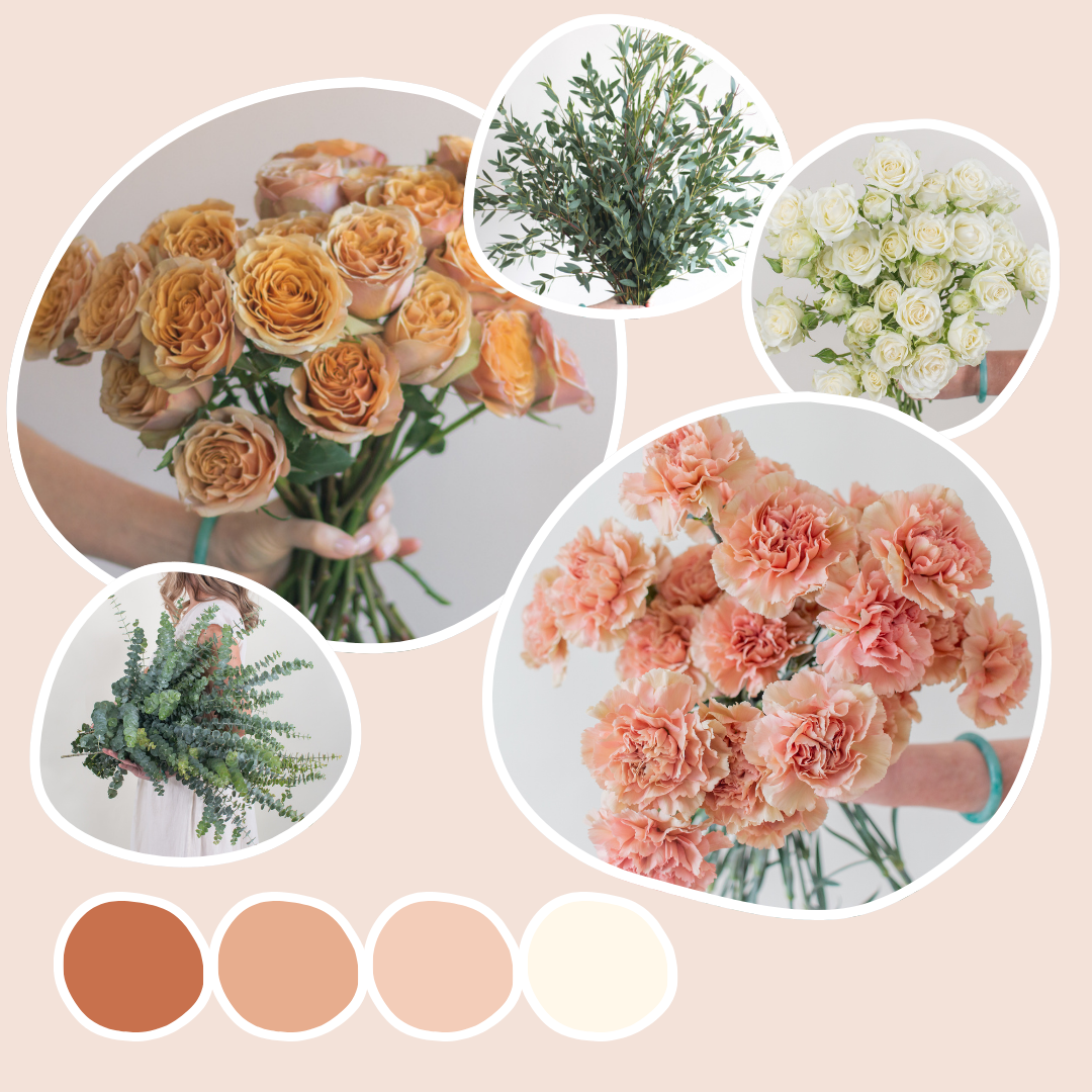 Golden Hour Sample Box