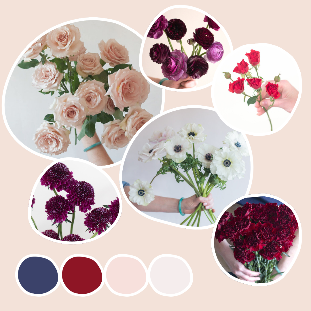 Navy and Wine Sample Box
