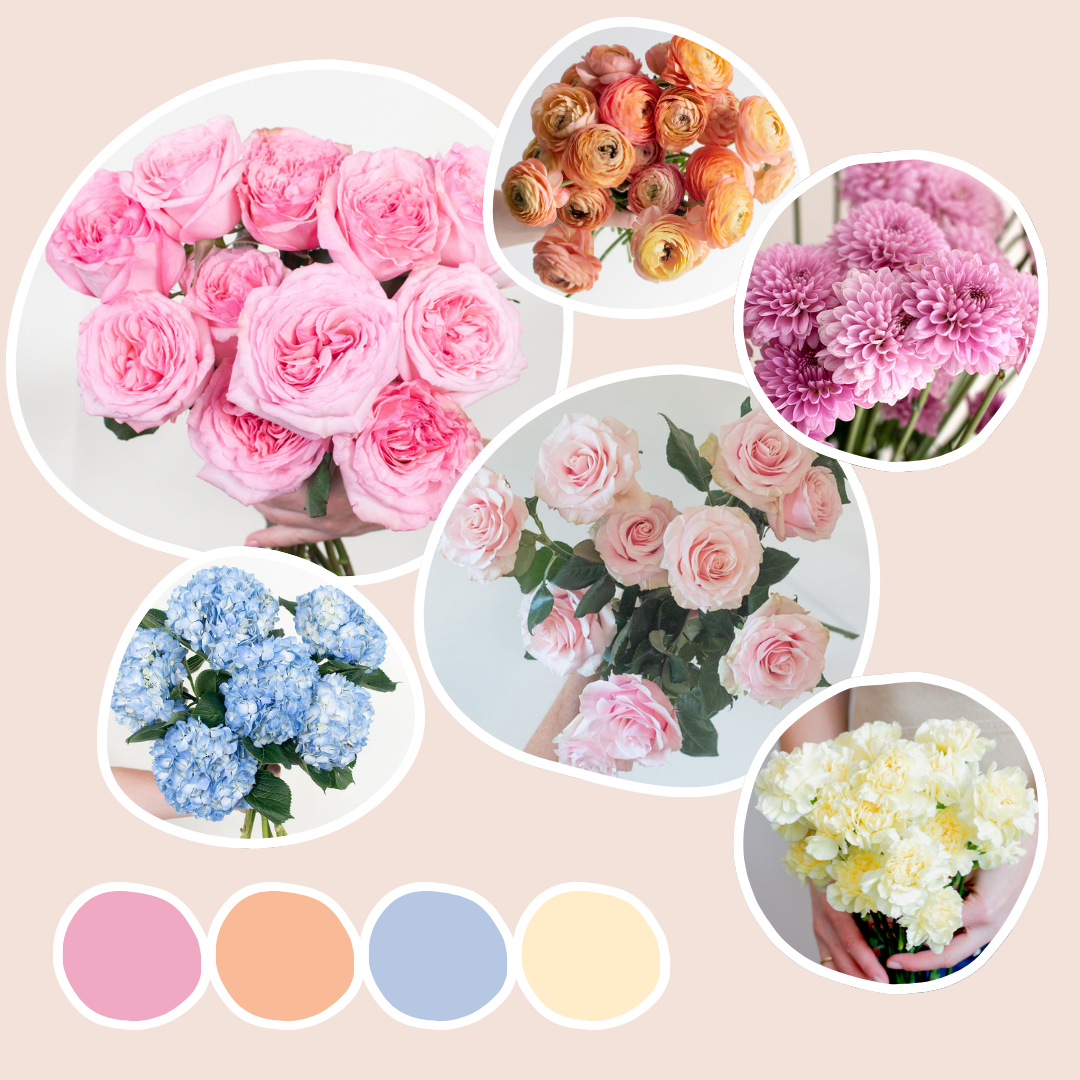 Pastels Sample Box