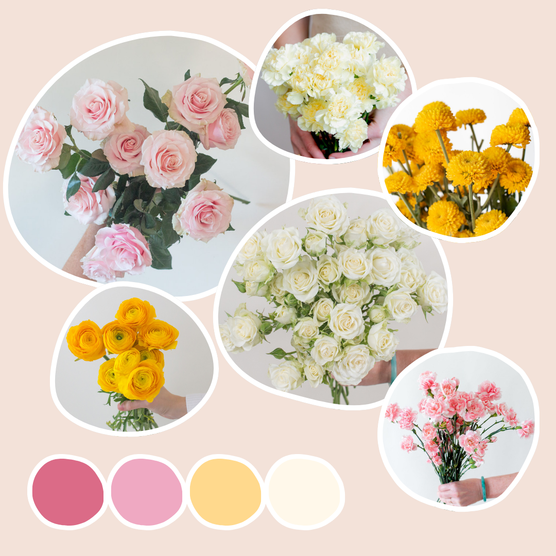 Pink Lemonade Sample Box