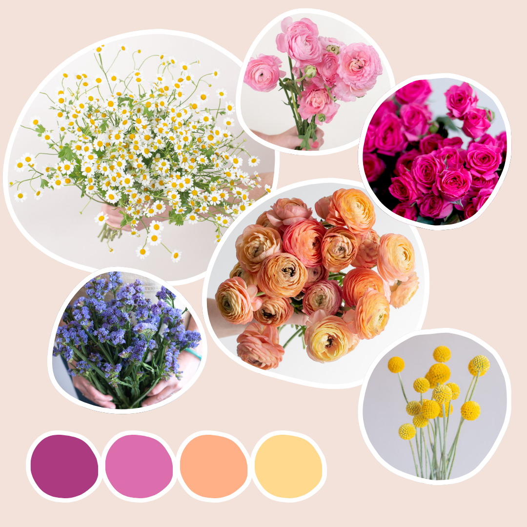 Wildflower Sample Box
